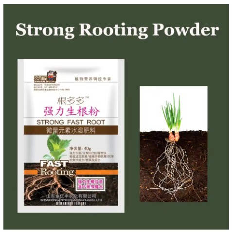 Rooting Hormone Powder - Strong Rooting Powder for Plants Rooting