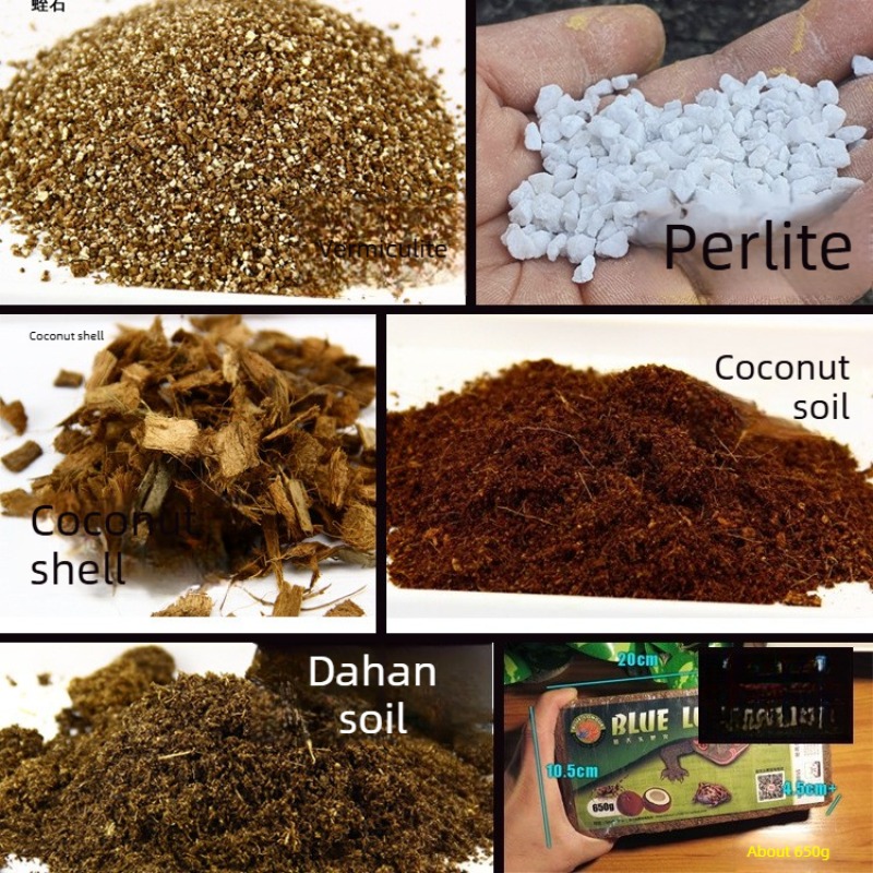 Coconut Soil Brick Reptile Sub - đánh giá và giá Sphagnum Moss Dry