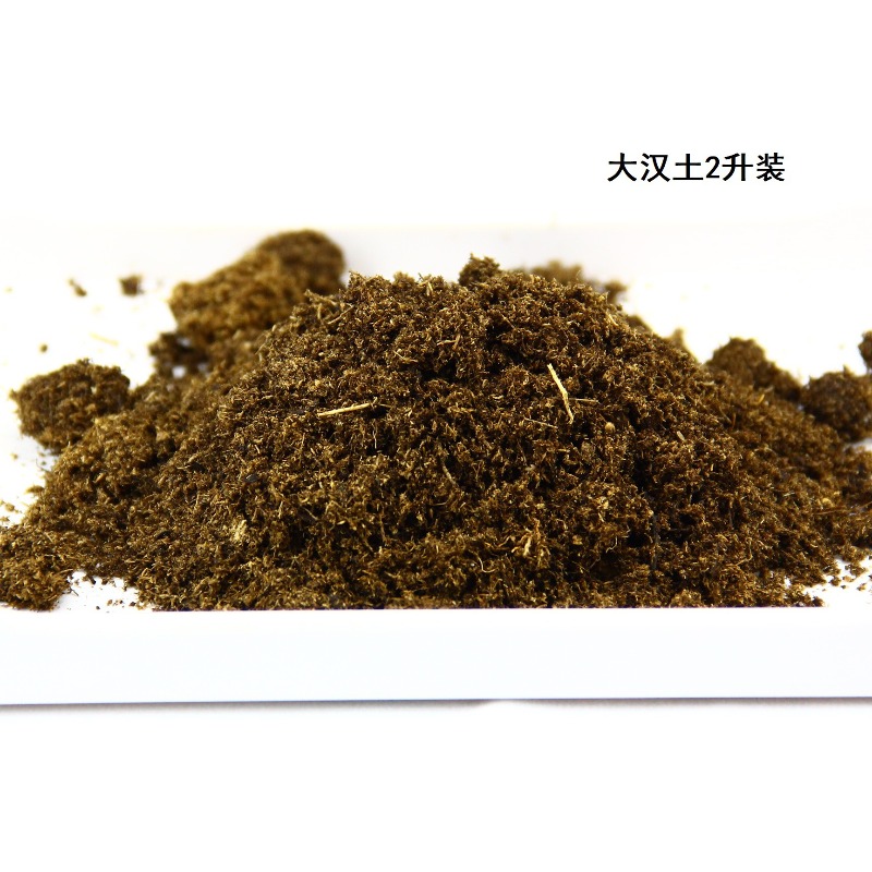 Coconut Soil Brick Reptile Sub - đánh giá và giá Sphagnum Moss Dry