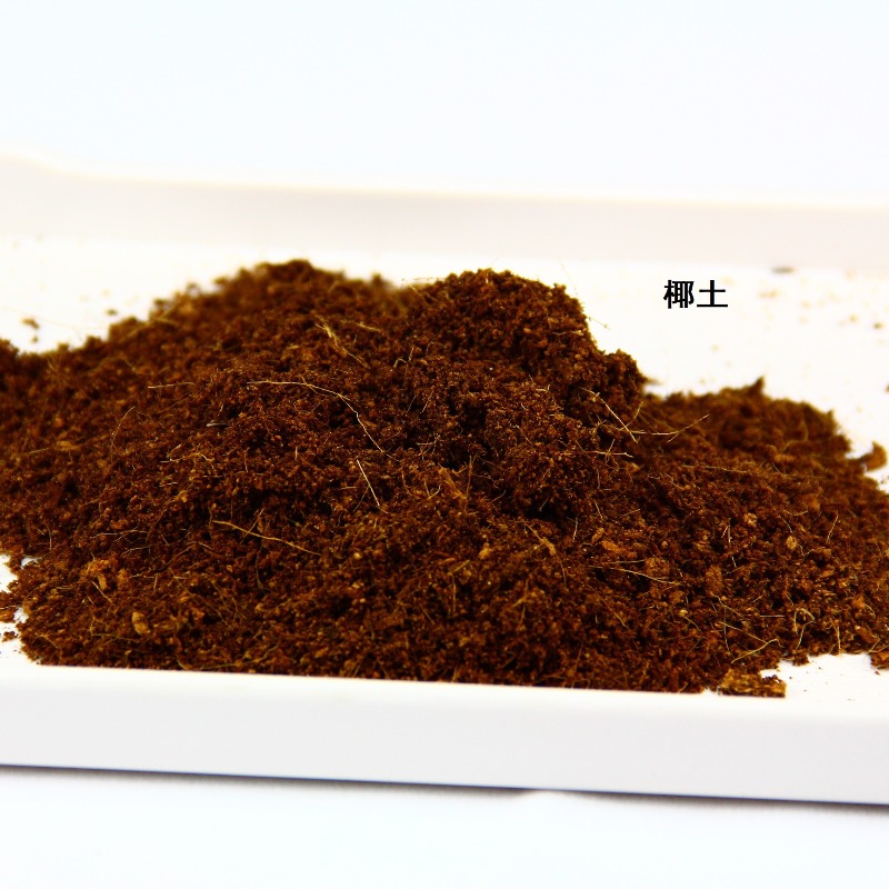 Coconut Soil Brick Reptile Sub - đánh giá và giá Sphagnum Moss Dry