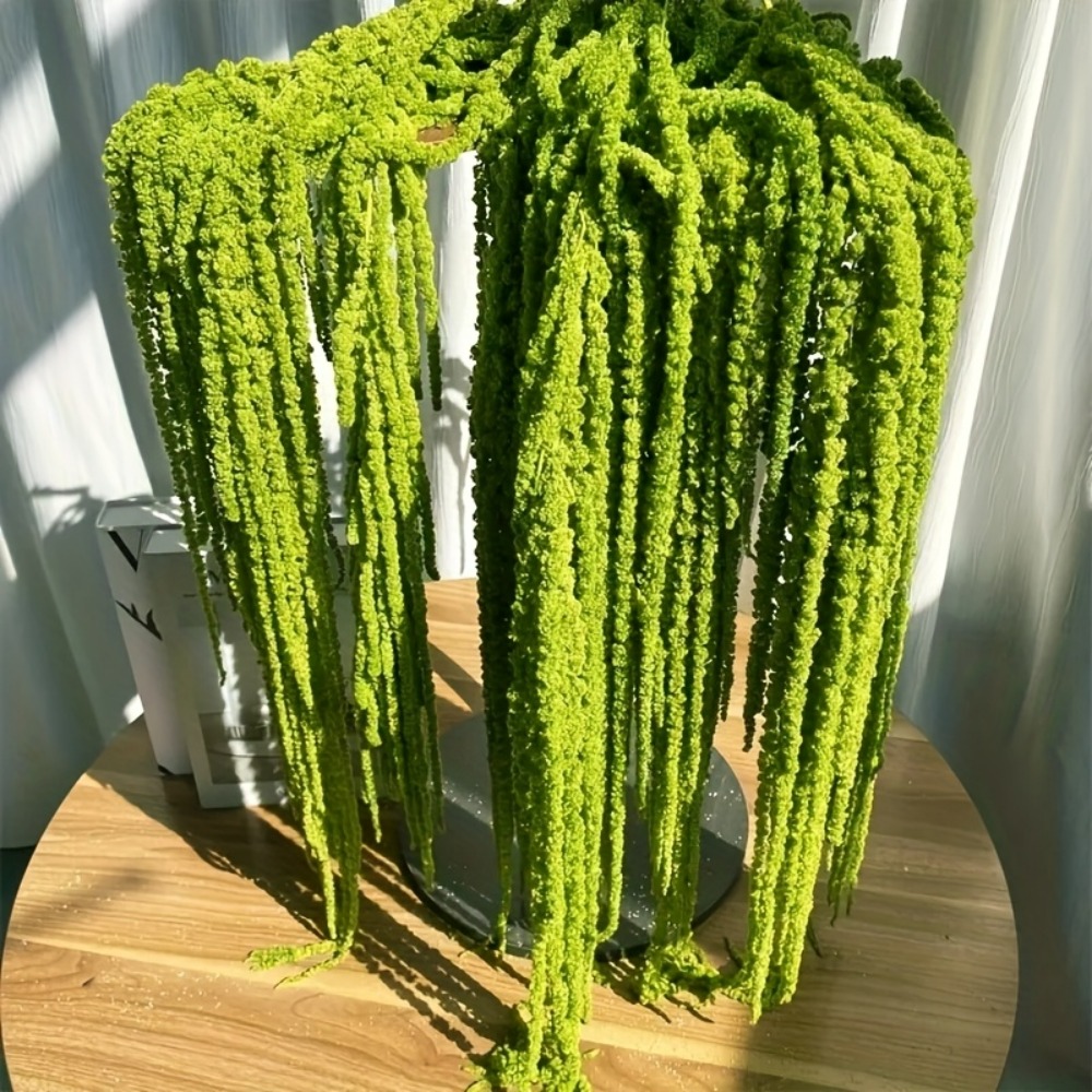 4 Piece Set Artificial Amarant - đánh giá và giá Sphagnum Moss Dry