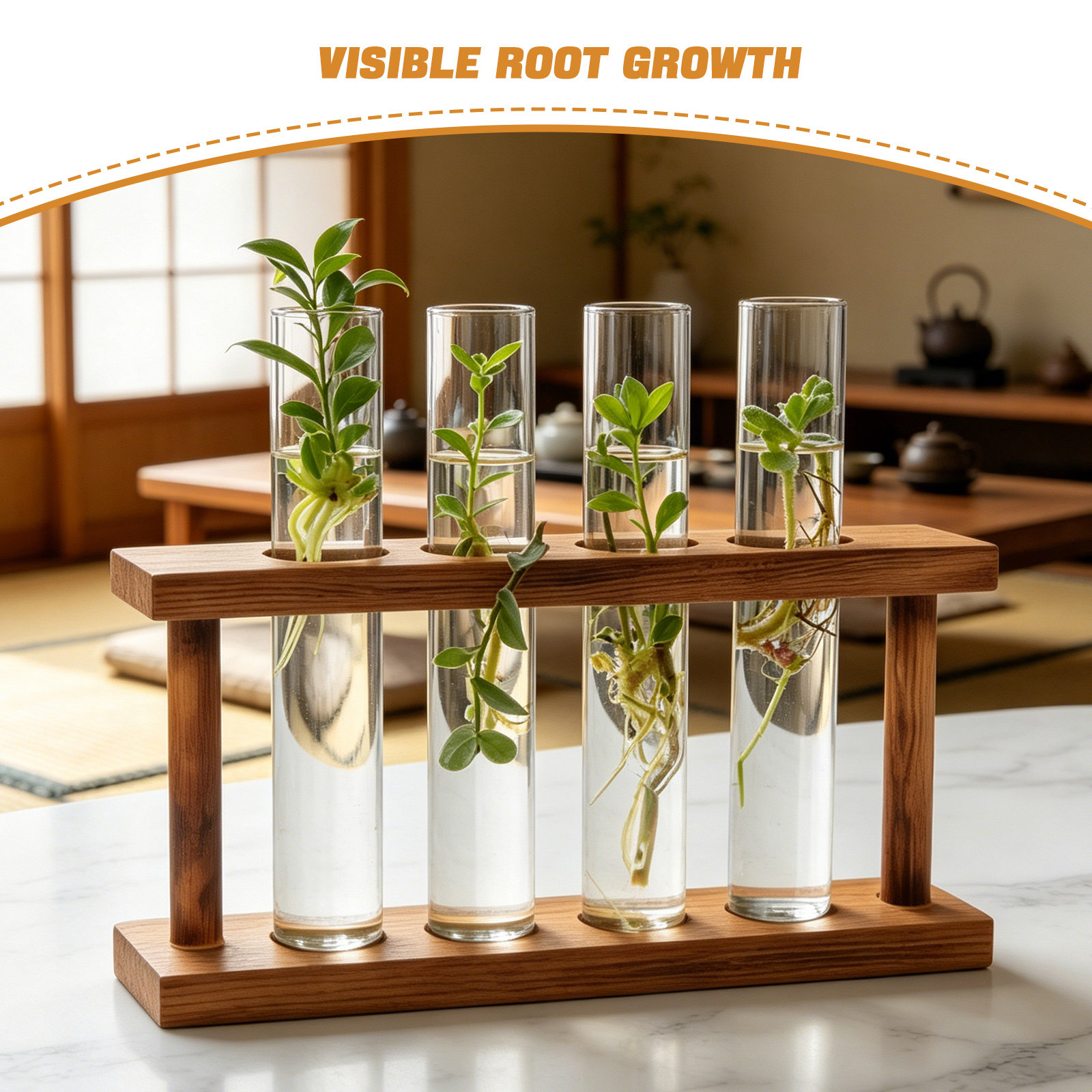 Wood Plant Propagation Station - đánh giá và giá Propagation Station Vase