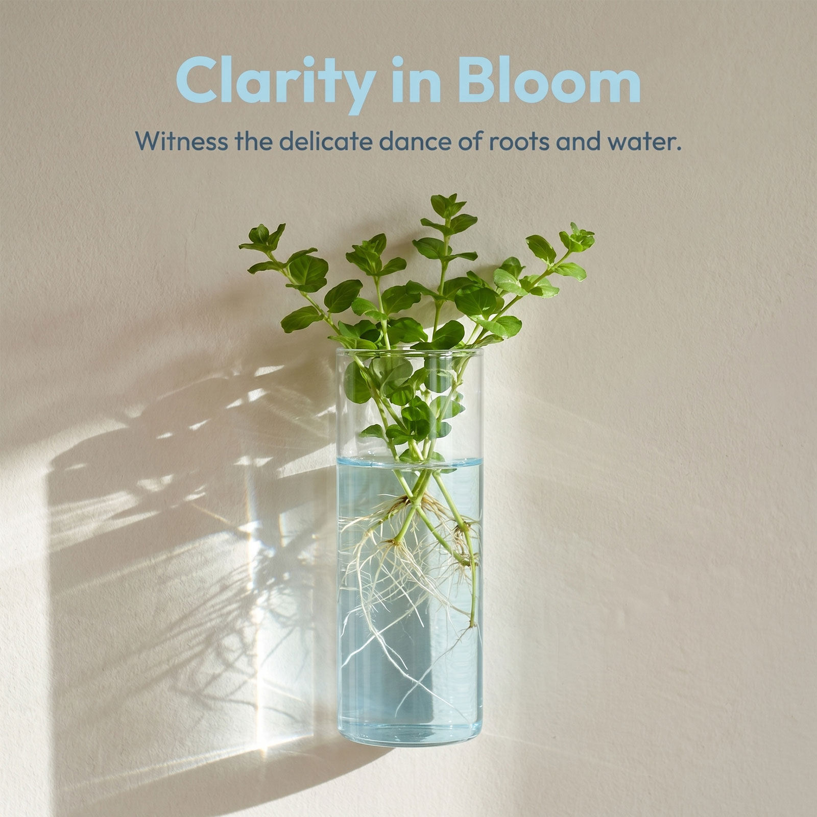 5Pcs Wall Planter Cylinder Gla - đánh giá và giá Propagation Station Vase